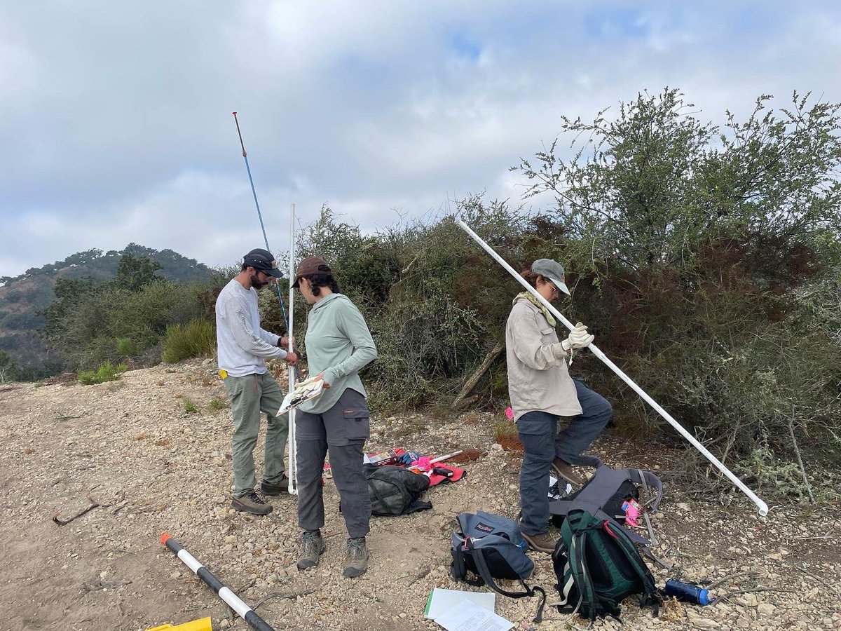 CALFIRE_SLO's tweet image. @calfire_slo working with  California Polytechnic State University Department of Natural Resources and Environmental Science Masters students to conduct vegetation monitoring for prescribed fires. This will help better understand vegetation dynamics before and after projects.