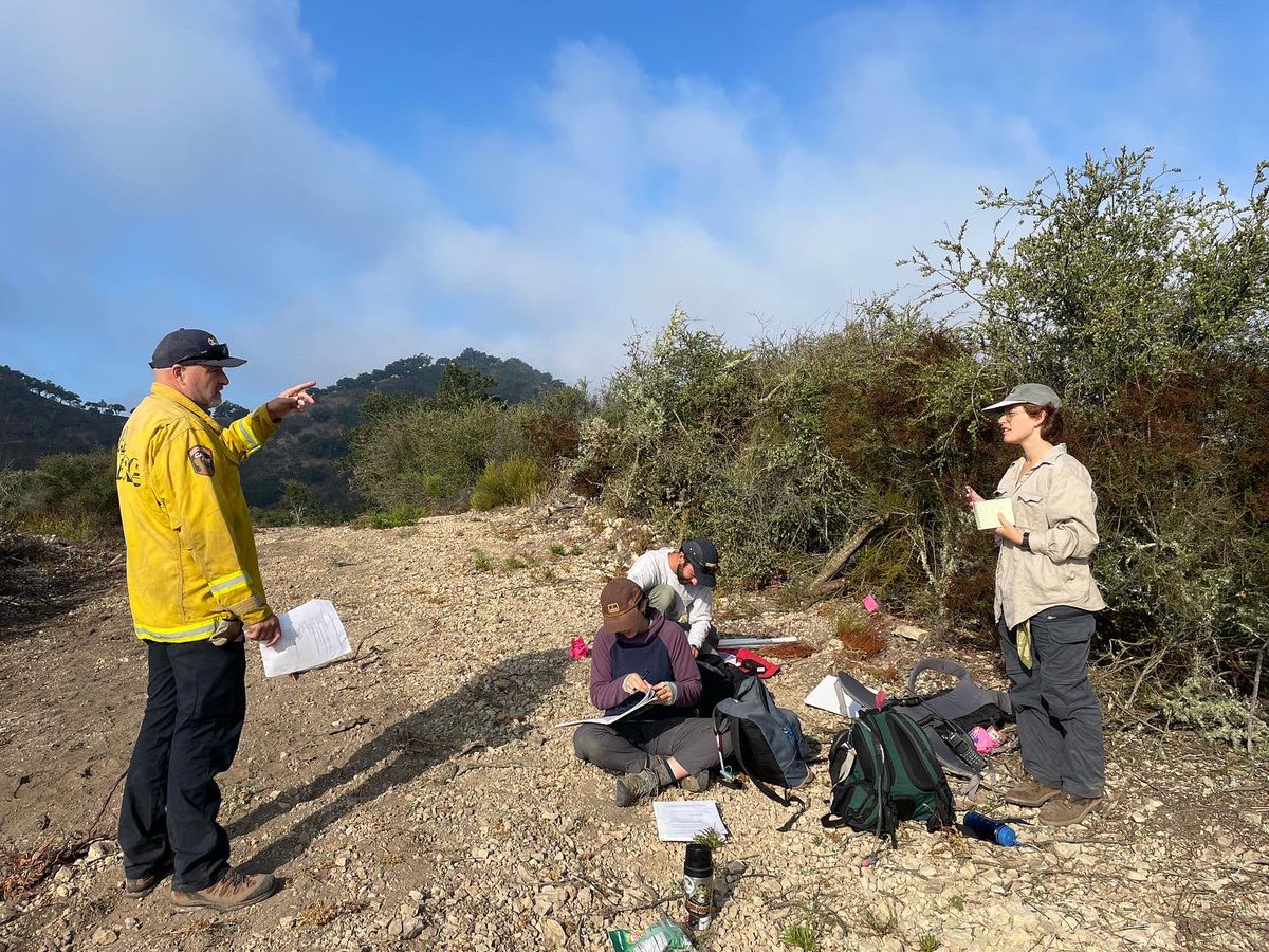 CALFIRE_SLO's tweet image. @calfire_slo working with  California Polytechnic State University Department of Natural Resources and Environmental Science Masters students to conduct vegetation monitoring for prescribed fires. This will help better understand vegetation dynamics before and after projects.