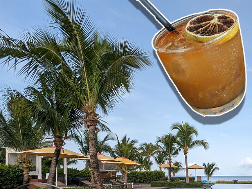 Zoomer Magazine tweet media