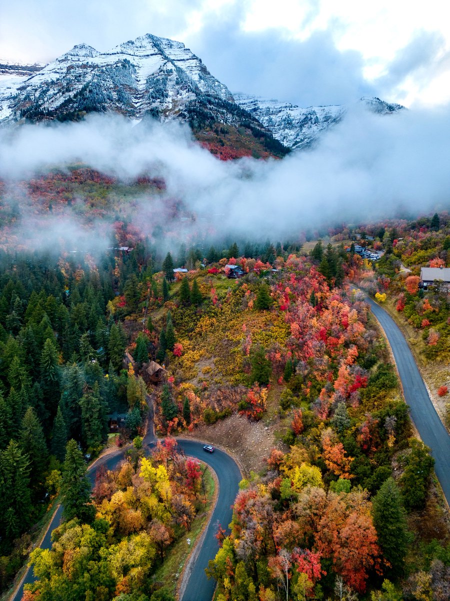Capturing the eerie capture of fall at Sundance! 🍂🏔️ With snow-capped peaks, fiery foliage, and a touch of mist, the scene is straight out of a spooky story.

📍: Sundance, Utah 
📸: Annie Giles, via kutv.com/chimein