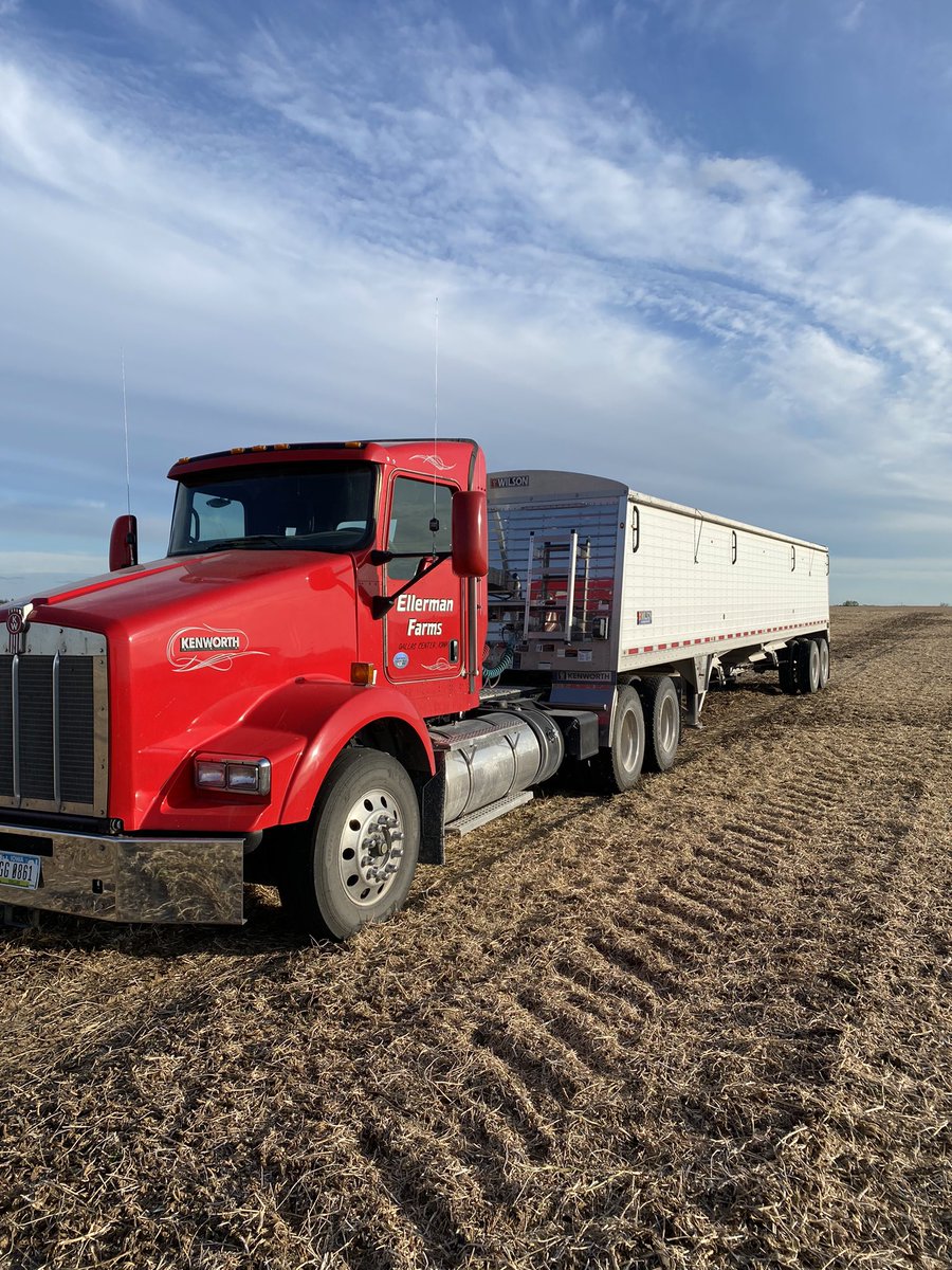 Lori Thomas tweet media