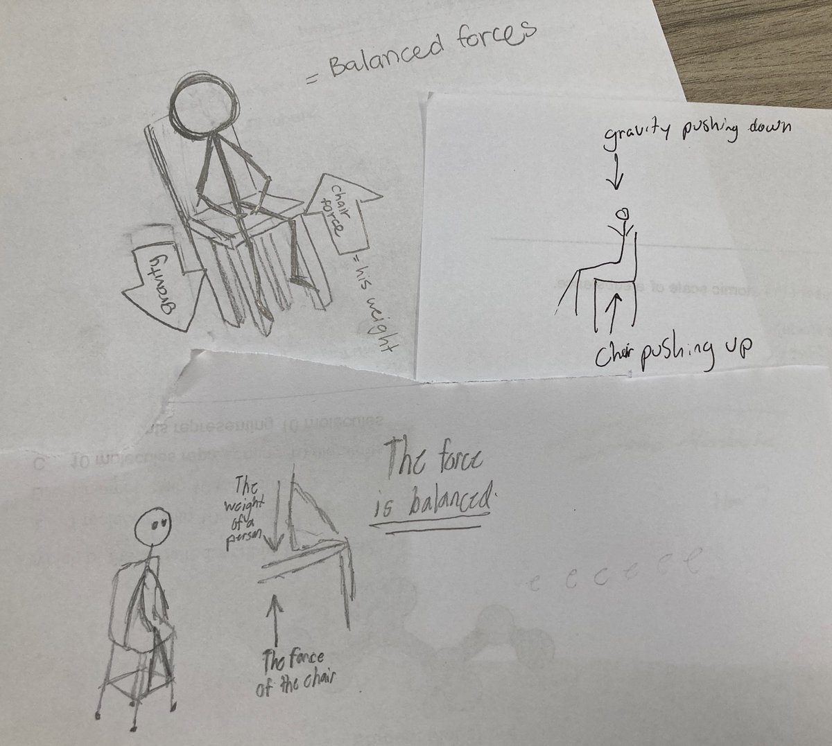 Bobal Science tweet media