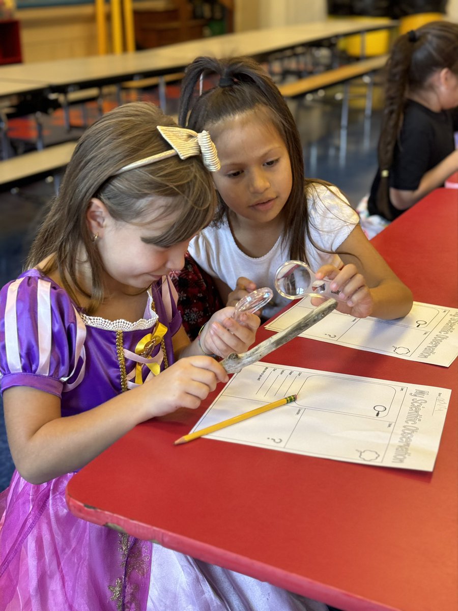 GCSD_STREAM tweet media