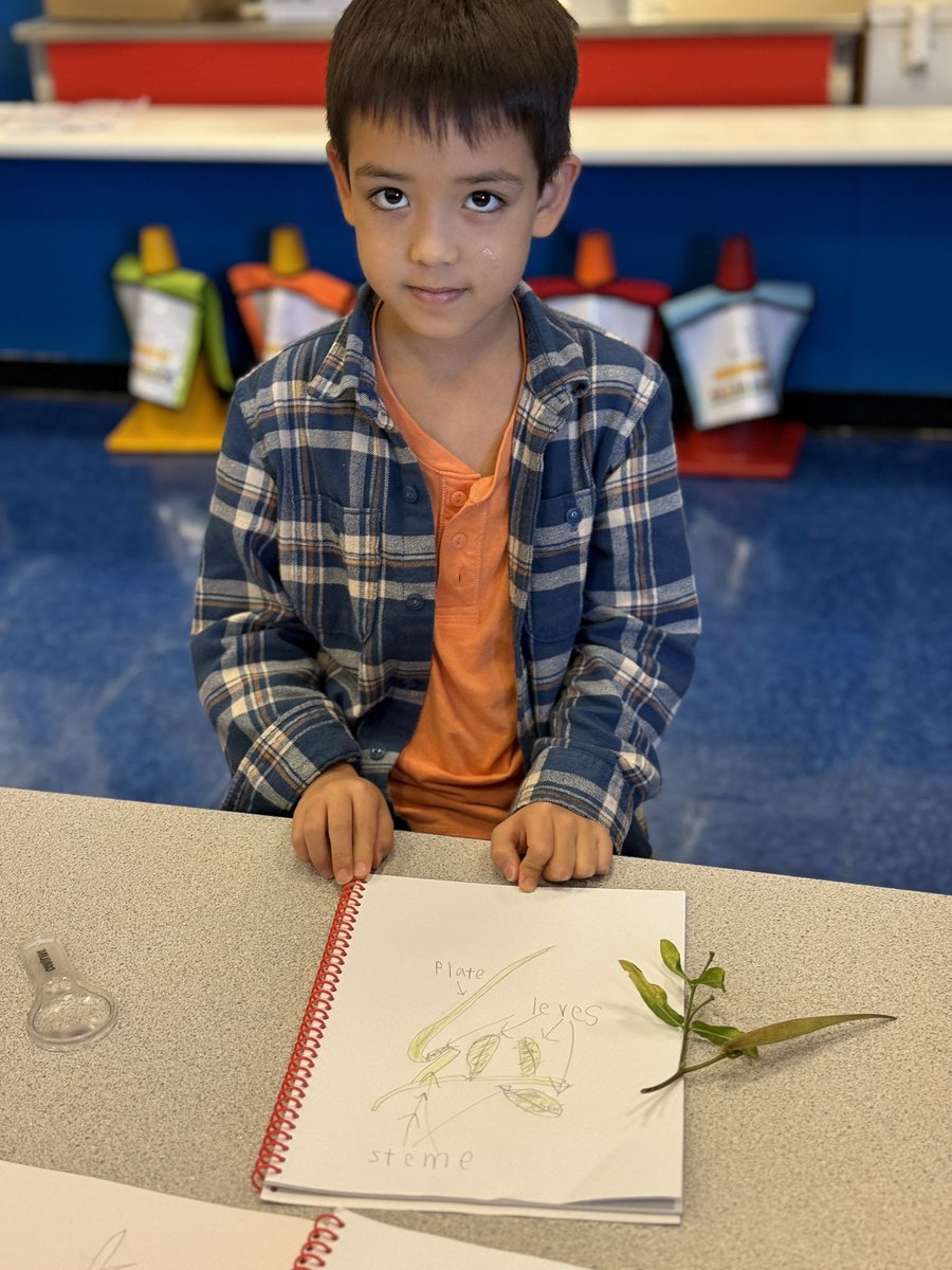 GCSD_STREAM tweet media