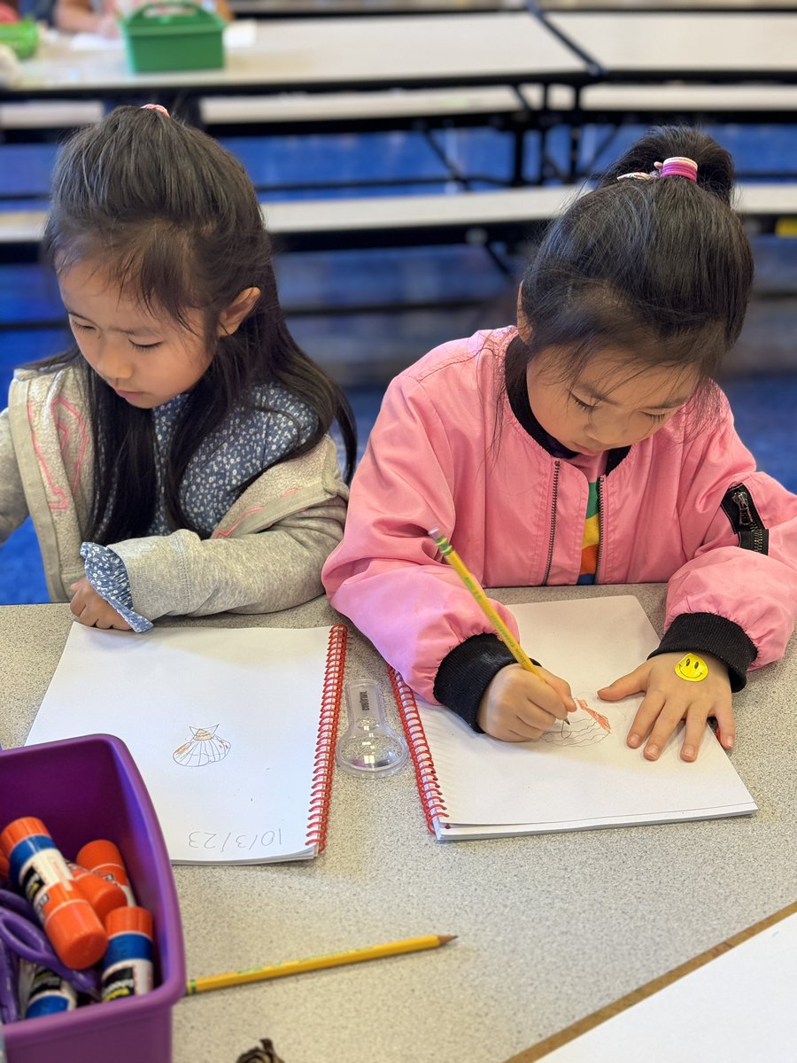 GCSD_STREAM (@gcsd_stream) on Twitter photo <a href="/GCSD_Deasy/">GCSD_Deasy School</a> School students building their scientific observation skills by examining nature treasures and recording their observations in their nature journals #scienceducation <a href="/GCSD_Deasy/">GCSD_Deasy School</a> School students building their scientific observation skills by examining nature treasures and recording their observations in their nature journals #scienceducation
