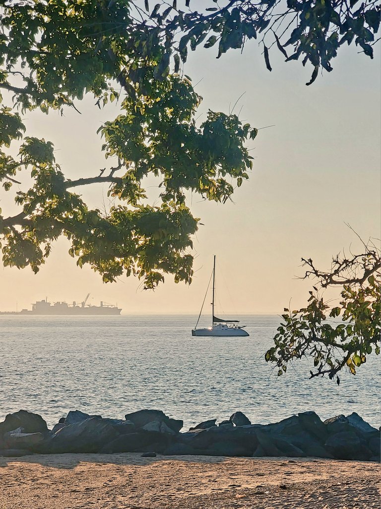 natureorbust's tweet photo. Yesterday I completed the Atlantic Seaboard Yomp from Florida to Maine . 14 states | 11 days. 
This. Is. Living. https://t.co/zHlmHeyW4j