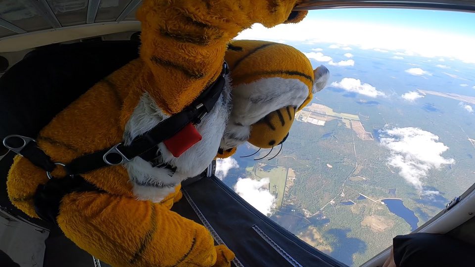 MizzouFootball's tweet photo. Who’s ready to Pack the Zou 𝙀𝘼𝙍𝙇𝙔 ?! 👀 @TrumanTiger_MU 

#MIZ 🐯🏈 https://t.co/zv9Ogkn1Nz