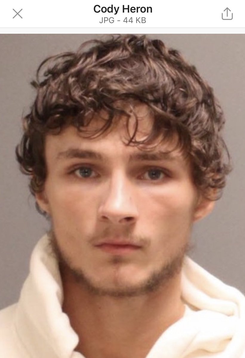 KeeleyFox29's tweet photo. Bail set at $2.5 Million for Cody Heron,26, of Philadelphia.   The motorcyclist is being held on 19 charges from Sunday’s road rage attack on woman &amp; her children seen on video. https://t.co/nZLroXh9qE