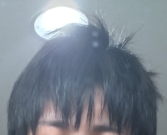 一生この寝癖キープしたい