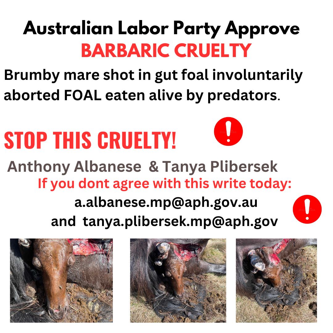 Marilyn Nuske tweet media