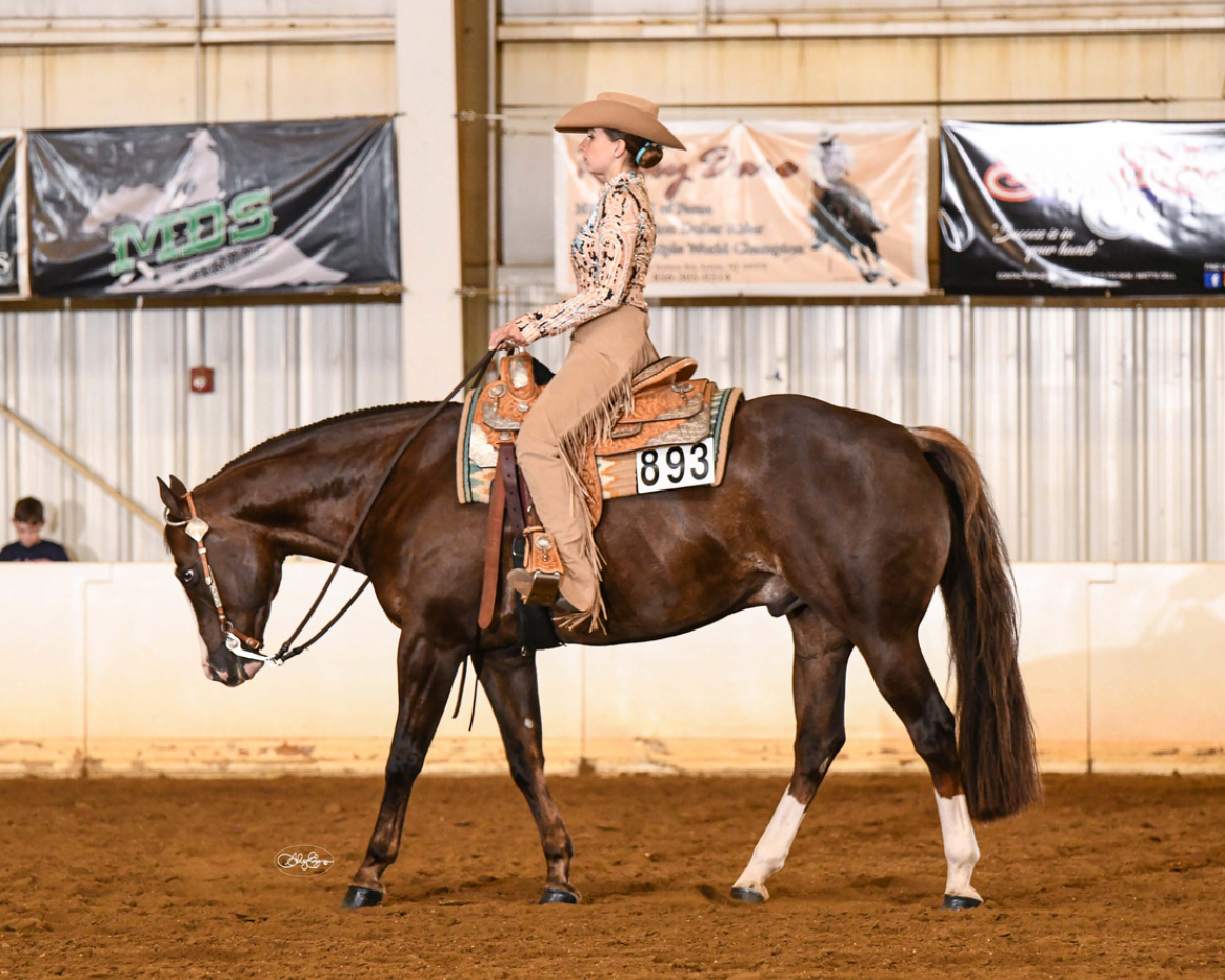DSUEquestrian's tweet photo. ◂𝐓𝐞𝐚𝐦𝐦𝐚𝐭𝐞 𝐨𝐟 𝐭𝐡𝐞 𝐖𝐞𝐞𝐤‣

Alyssa Papiez
📝 Freshman, Education
🏠 Waretown, NJ
Alyssa has been riding horses for 14 years and she enjoys going to the race tracks and watching dirt racing. This is a family event that she has been a part of her entire life. https://t.co/vHboUMlIf6