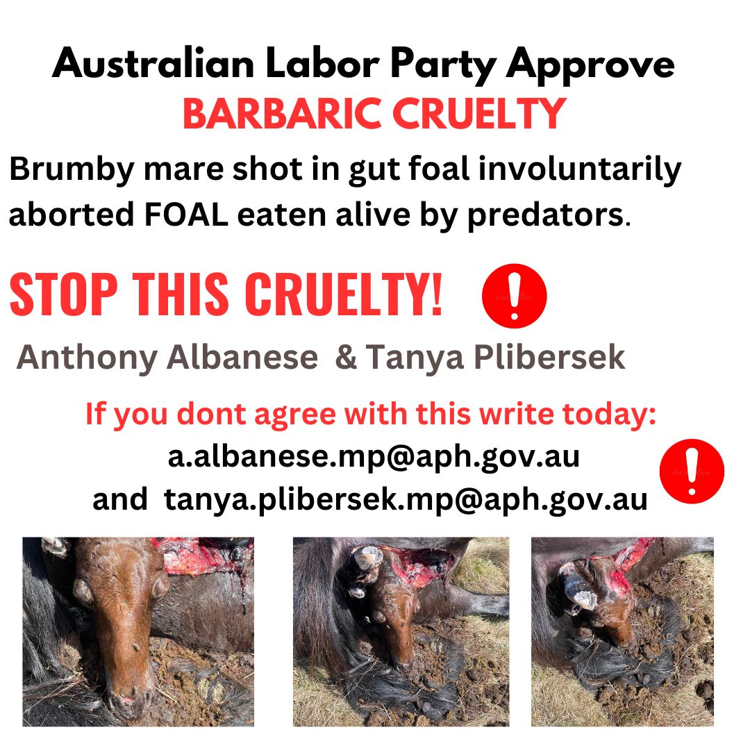 Marilyn Nuske tweet media