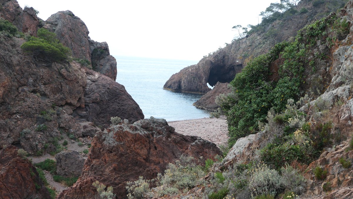 Plage paradisiaque à Théoule sur Mer
#CotedAzurFrance #JeudiPhoto #VisitCotedAzur #Tourisme #TheoulesurMer #TheouleTourisme #photodujour <a href="/VisitCotedazur/">Côte d'Azur France</a> <a href="/VilledeTheoule/">Théoule-sur-Mer</a> <a href="/OtTheoule/">office de tourisme</a>