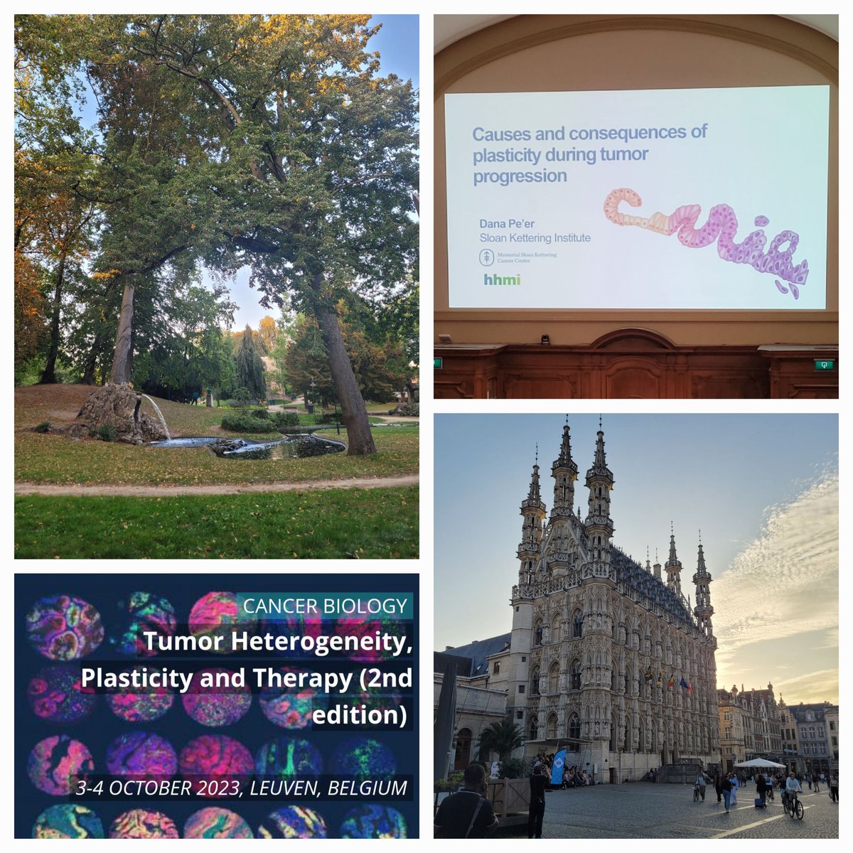 Lucy Stead (@lucyfstead) on Twitter photo Heading home after 2 amazing days of cancer science & sightseeing in beautiful Leuven; full of ideas & inspiration for tackling therapy driven plasticity in GBM. Highlight talks for me were <a href="/KarunaGaneshLab/">Karuna Ganesh Lab</a> <a href="/LeilaAkkari1/">Leila Akkari</a> <a href="/ItaiYanai/">Itai Yanai</a> & Dana Pe'er #THPT23 @VIBConferences Heading home after 2 amazing days of cancer science & sightseeing in beautiful Leuven; full of ideas & inspiration for tackling therapy driven plasticity in GBM. Highlight talks for me were <a href="/KarunaGaneshLab/">Karuna Ganesh Lab</a> <a href="/LeilaAkkari1/">Leila Akkari</a> <a href="/ItaiYanai/">Itai Yanai</a> & Dana Pe'er #THPT23 @VIBConferences