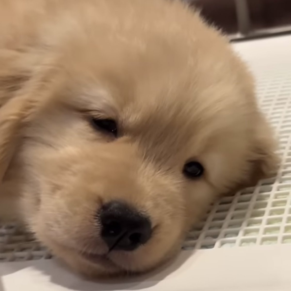 ‏ًً (@serdicx) on Twitter photo 