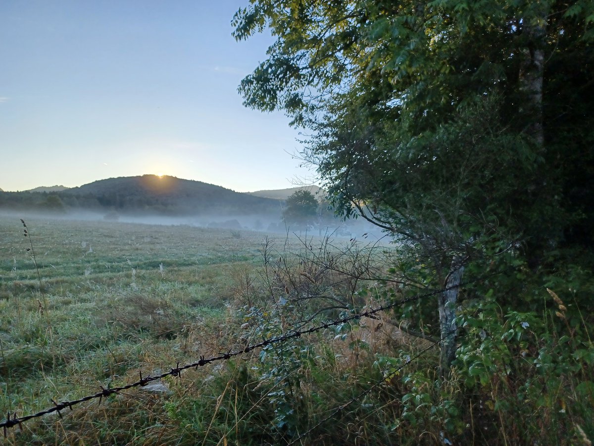FabienJubertie's tweet photo. Quelques photos de ma ballade matinale du 26 septembre dernier vers le prés de Côme (chaîne des Puys)...le comble du bonheur (ou presque!) https://t.co/6svYoqUK11