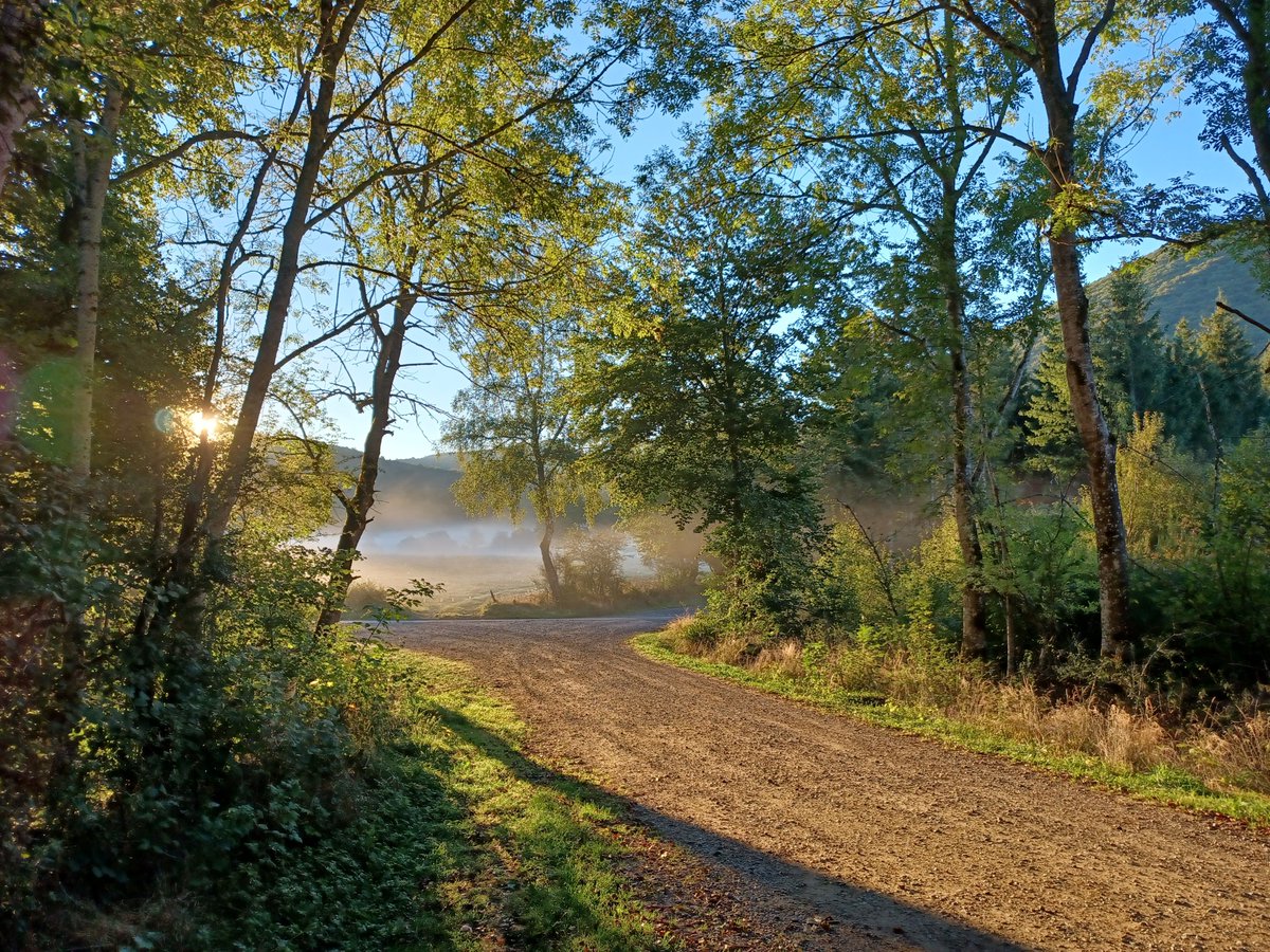 FabienJubertie's tweet photo. Quelques photos de ma ballade matinale du 26 septembre dernier vers le prés de Côme (chaîne des Puys)...le comble du bonheur (ou presque!) https://t.co/6svYoqUK11