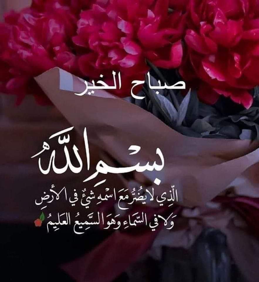 إشراقة صباحية بهية تسكنها البركات وتعمها الرحمات بدعوات من الروح إلى الروح مليئة بالحب والحنان لأن نسائم أرواحكم هي الحب والحنان وتنعم بالصحة والعافية أجسادكم ويعطر أيامكم بذكره ويحفظكم أينما كنتم ويسعدكم بفضله وكرمه. 
       🍂🌺 صباحكم يبدأ بجمال أرواحكم 🌺🍂