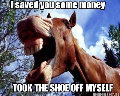 Thanks.. I guess 🤣 Who else has a helpful horse? 📸 Credit: Mememaker