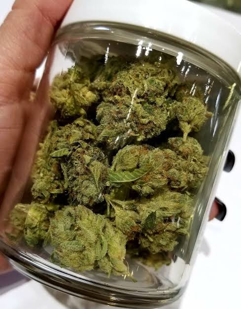 Looks Rekt tweet media