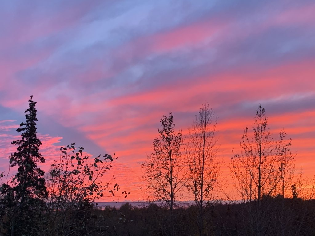 Firebrand101's tweet photo. Not sure if you caught the sunset… but it was pretty awesome!
.
.
.
#sunset #alaska #alaskasunset #nature #sky #skyphotography #sunsetphotography #sunsetlovers #sunset_pics #sunsetmadness https://t.co/0W5nbsehuq