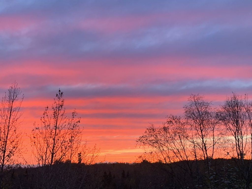 Firebrand101's tweet photo. Not sure if you caught the sunset… but it was pretty awesome!
.
.
.
#sunset #alaska #alaskasunset #nature #sky #skyphotography #sunsetphotography #sunsetlovers #sunset_pics #sunsetmadness https://t.co/0W5nbsehuq