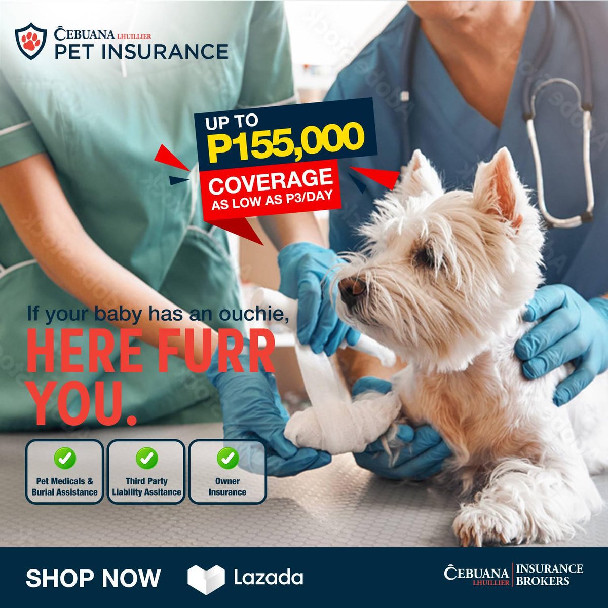 Accidents can happen anytime. Let’s make sure our furr babies are protected.​ Get the following protection with Cebuana Lhuillier Pet Insurance:​ 🐾 up to P55,000 on pet illness and accident medical coverage​ 🐾 up to P75,000 protection against third party liability​ 🐾 up to…