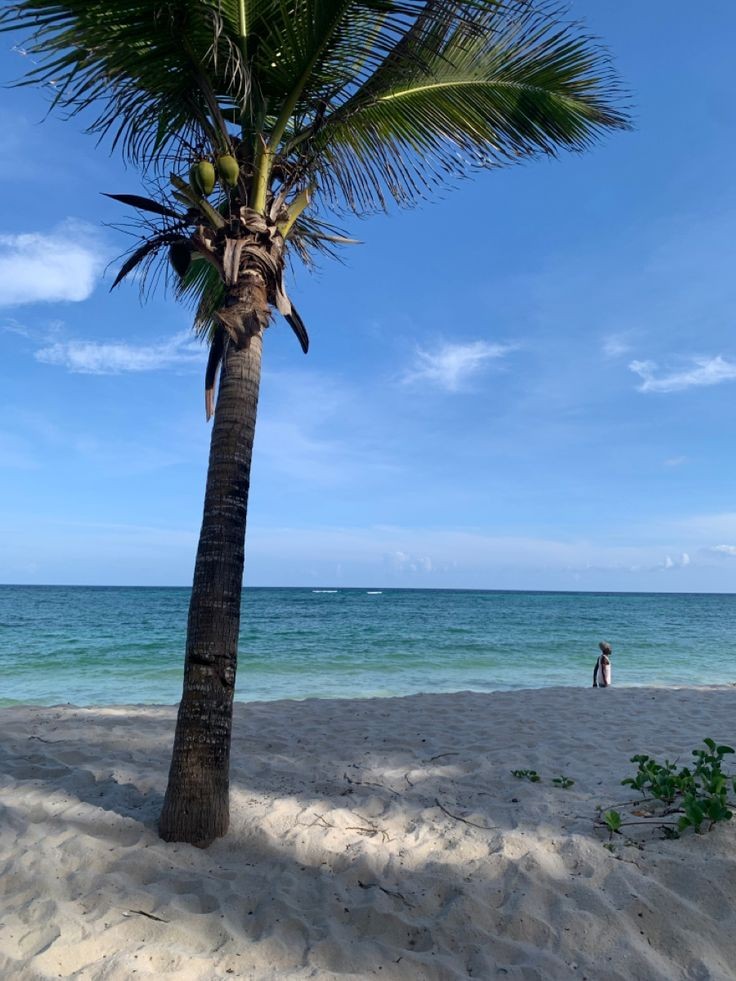 bella_creatives's tweet photo. 🇰🇪Diani, are you ready????🥳🥳🥳🥳

#POHAxVUVU23faces #POHAxVUVUFLICKERS
#GainwithPOHA
#TwendeDiani

@vuvuafrica
@dgohniehairart_
@_Achieng_vee
@NVelma17090
@bella_creatives
@sophy_mildred
@ClaudiaConsalis https://t.co/Ao6z7I4szT