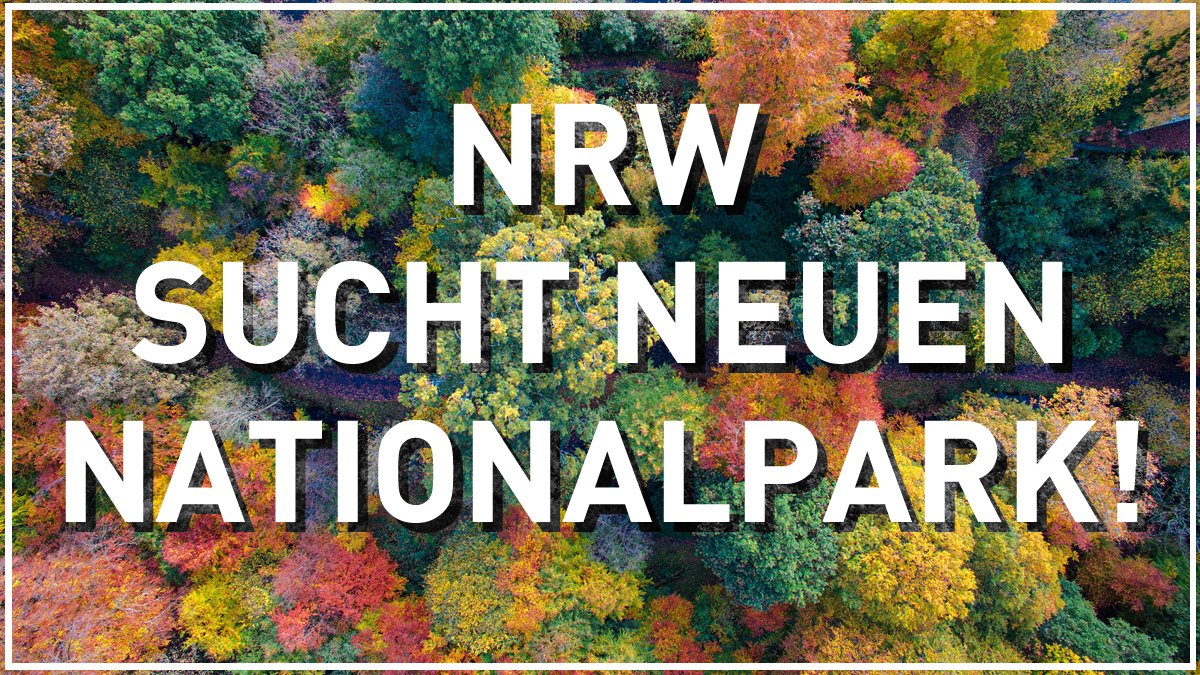 LAG21NRW's tweet photo. #NRW bekommt 2. #Nationalpark! Nur wo er entsteht, ist noch offen. BürgerInnen, Kommunen &amp; Co sind aufgerufen, sich aktiv am Findungsprozess zu beteiligen. Mehr zum Prozess &amp; wie ein Nationalpark für ua Naturschutz, Artenvielfalt, Bildung, Tourismus wirkt: https://t.co/yjVdXKOkXR https://t.co/yVdmcPaWb0