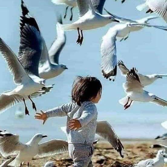 Hani insan bazen çok güzel uyanır ya !
Dinlenmiş,
Huzurlu,
Hayata hazır;
Öyle olsun işte..
Yeni günün tüm güzellikleri hayatınızda olsun ☀️🌅
Günaydın🌸🫧🌸

#Persembe 
#günaydın 
#HayirliSabahlar