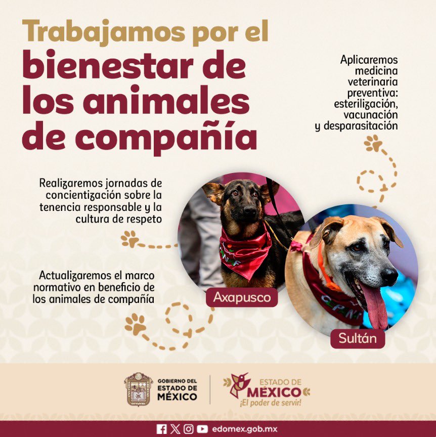 #ElPoderDeServir | La Gobernadora <a href="/delfinagomeza/">Delfina Gómez A.</a> presentó el Programa Ético de Control de la Sobrepoblación de Animales de Compañía en Situación de Calle, proyecto humano que busca defender su derecho a una vida digna, y que sienta la bases de un estado solidario.

#SomosSuVoz