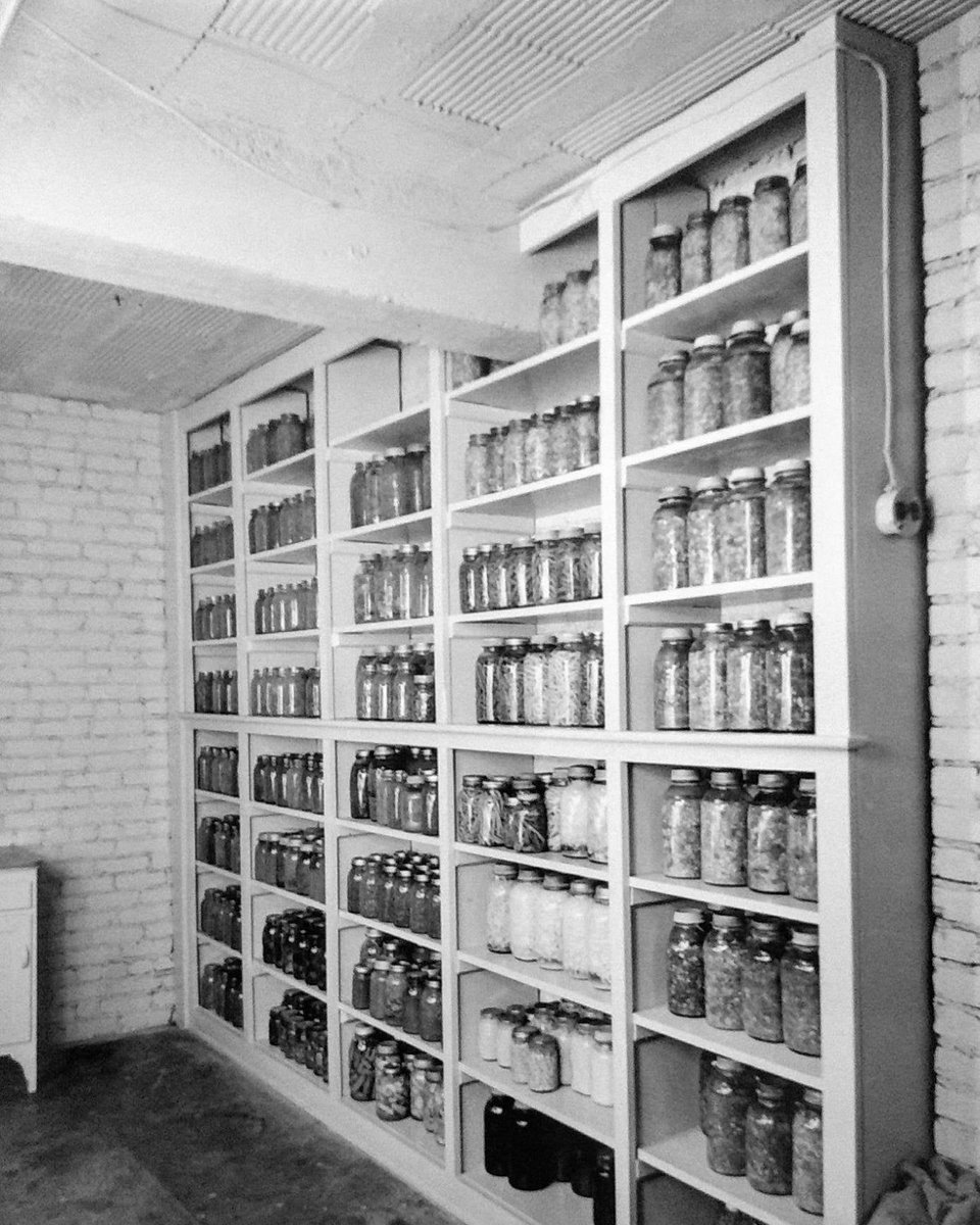 limamission's tweet photo. Then and now: a look at one of our food storage areas. While we no longer receive home-canned food, we use the same shelves for dry food storage and racks which hold over 300 #10 cans of fruits and vegetables. These and other donations make it possible to provide meals every day. https://t.co/sdBvHq1ZVV