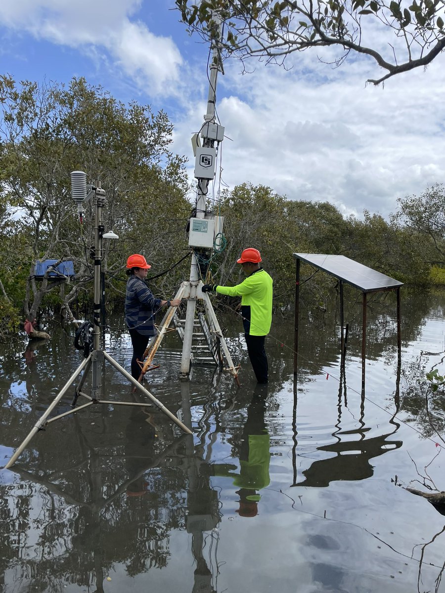 Ruth Reef 🌊 tweet media