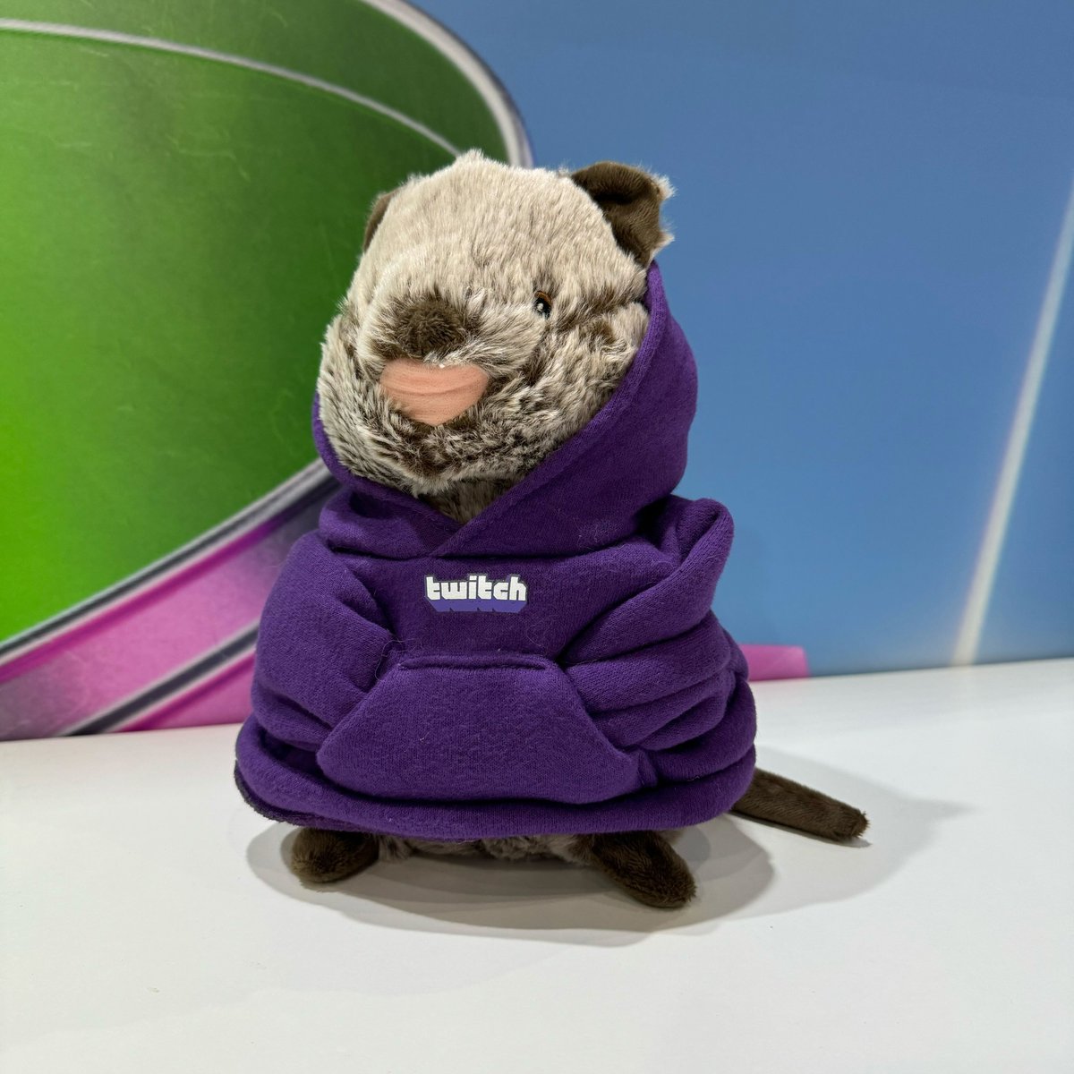 Twitch ANZ tweet media