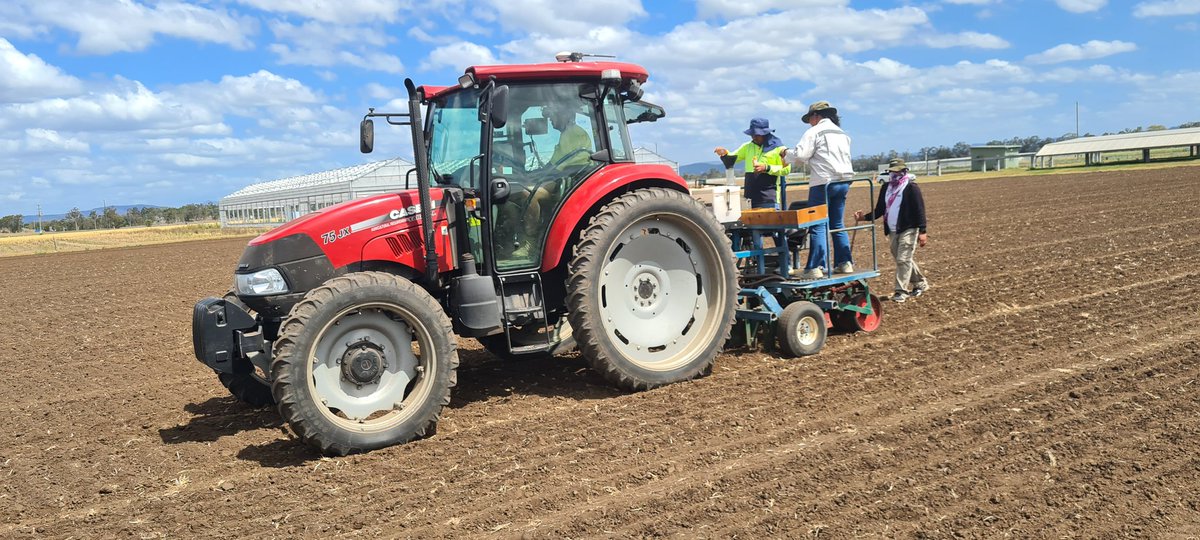 ShonaWood_UQ's tweet photo. Planting of the UQRiceDen trials at Gatton for heat and cold tolerance, nitrogen use efficiency and lodging are well underway. @AgriFuturesAU @JaquieMitch_UQ @UQGattonUpdate @RiceExtension @UQscience https://t.co/wJtaUewSlO