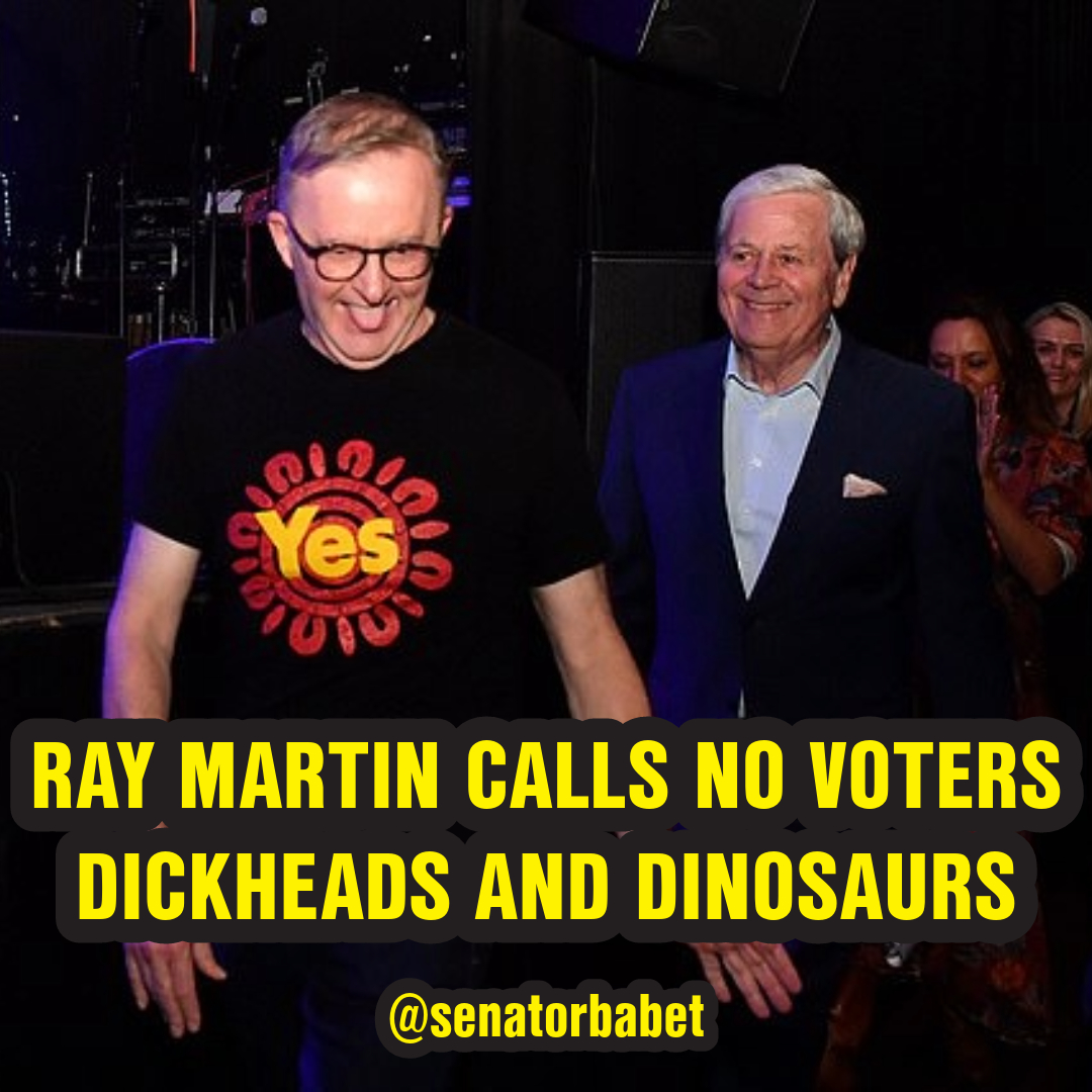 senatorbabet's tweet photo. The latest ‘Yes’ campaigner to attempt to win over undecided voters by calling them names is celebrity journalist Ray Martin.

Martin told an audience at the weekend: 

“If you’re a dinosaur or a dickhead who can’t be bothered reading, then vote no.”

The audience roared with laughter and cheered.

This is what the celebrity elite think of you because you don't want to insert racism into our constitution. They think you're a dinosaur and a dickhead. 

If you haven't already, make sure to volunteer at a polling booth to hand out how to vote cards. Sign up here - https://t.co/0wgKfBXMfP

Read the full story here - https://t.co/iJeibUKGYW