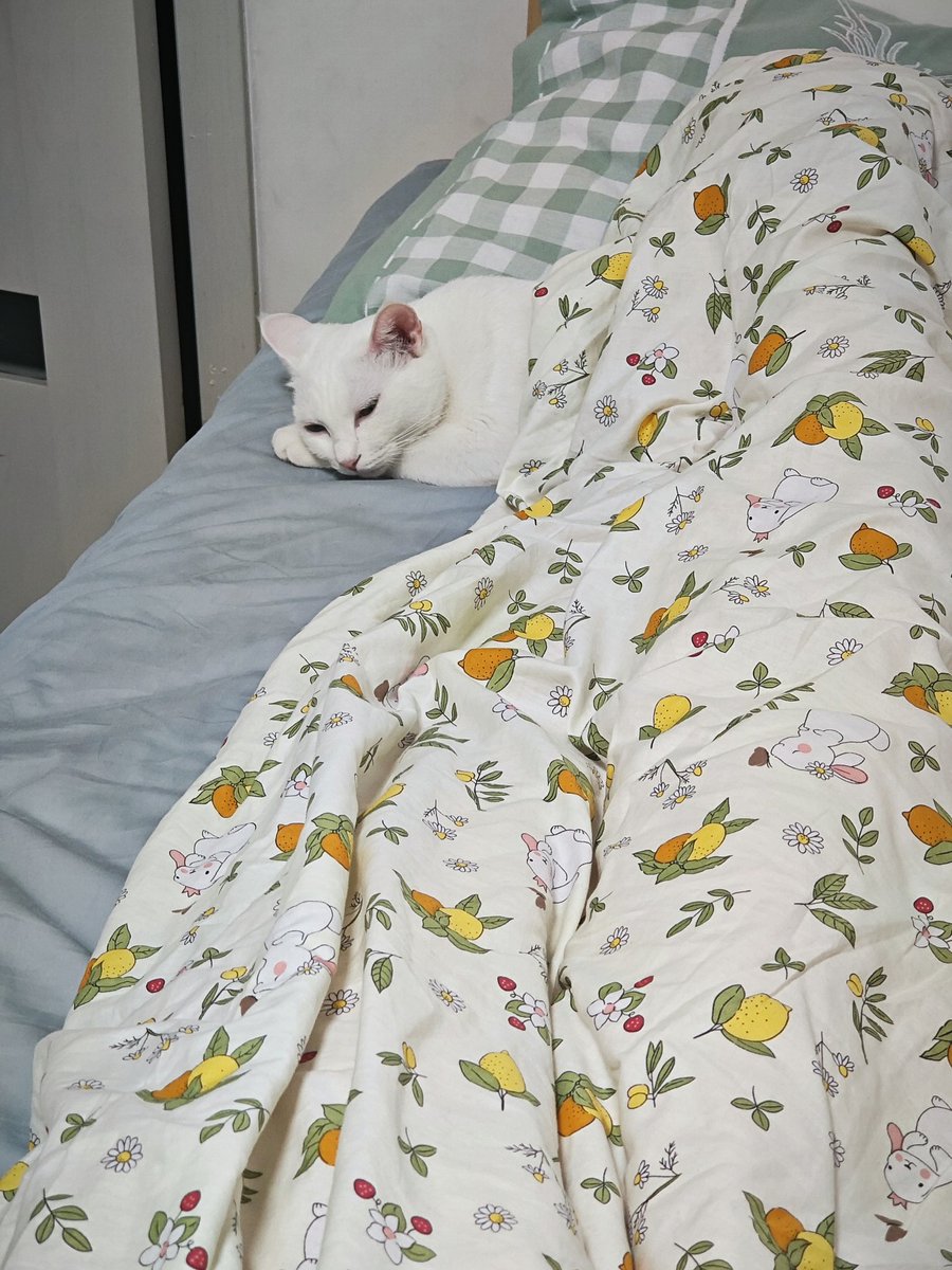 Jake Cornell (@jakecornell06) on Twitter photo 