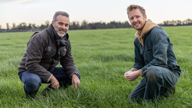 Think milk is just a commodity? Not with Prof Pablo Gregorini's Integrated Health Dairy Farm! His transformative project seeks to provide new tools that put a greater emphasis on the health of the animals, the soil and the farmer. Learn more here: farmersweekly.co.nz/technology/a-d…