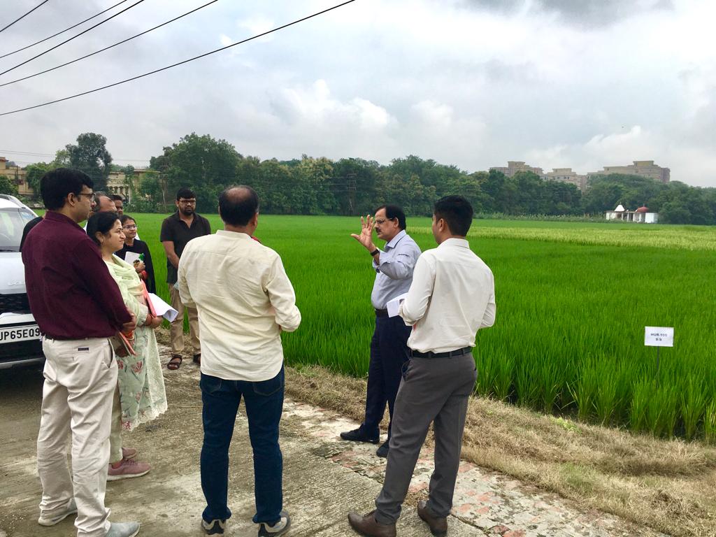 PKSINGHBHU's tweet photo. IISR- AICRP (Seed Crop) Monitoring Team visiting Agril Research Farm of BHU on 04.10.2023. https://t.co/VVz79XsF2Q