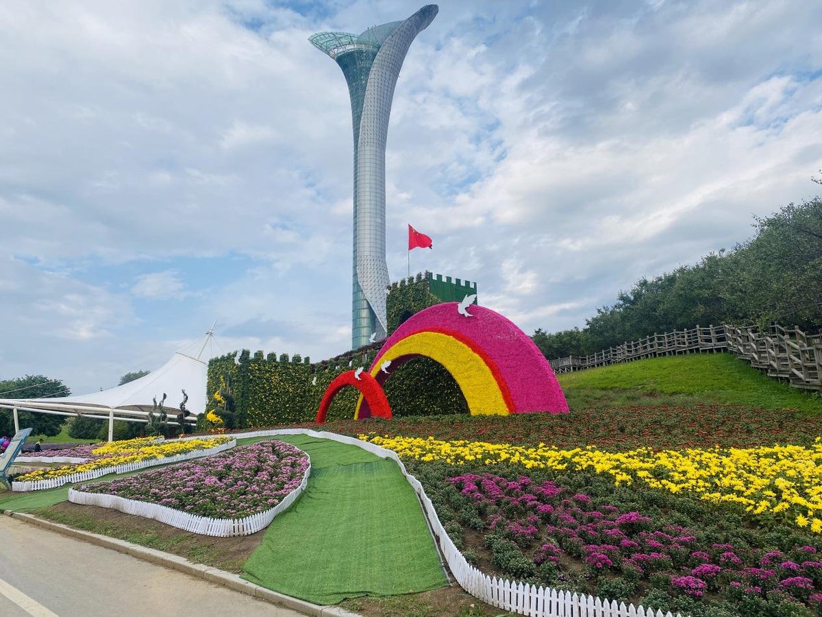 ShenyangChina's tweet image. #TourisminShenyang 🌼Over 600,000 chrysanthemums in over 300 varieties are displayed at the 23rd Chrysanthemum Culture Festival held at Shenyang Expo Garden from September 25 to October 15. #holidaygetaway