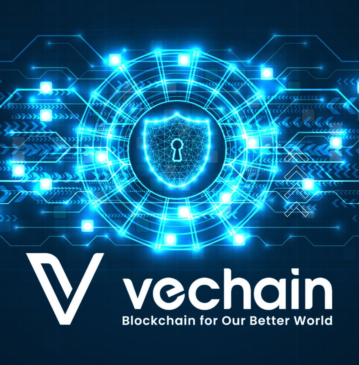 🔐 #Security at its best! 
#VeChain Blockchain's advanced cryptographic techniques ensure data integrity and safeguard against tampering. Rest easy knowing your transactions are in safe hands. #VeChain #SecureBlockchain