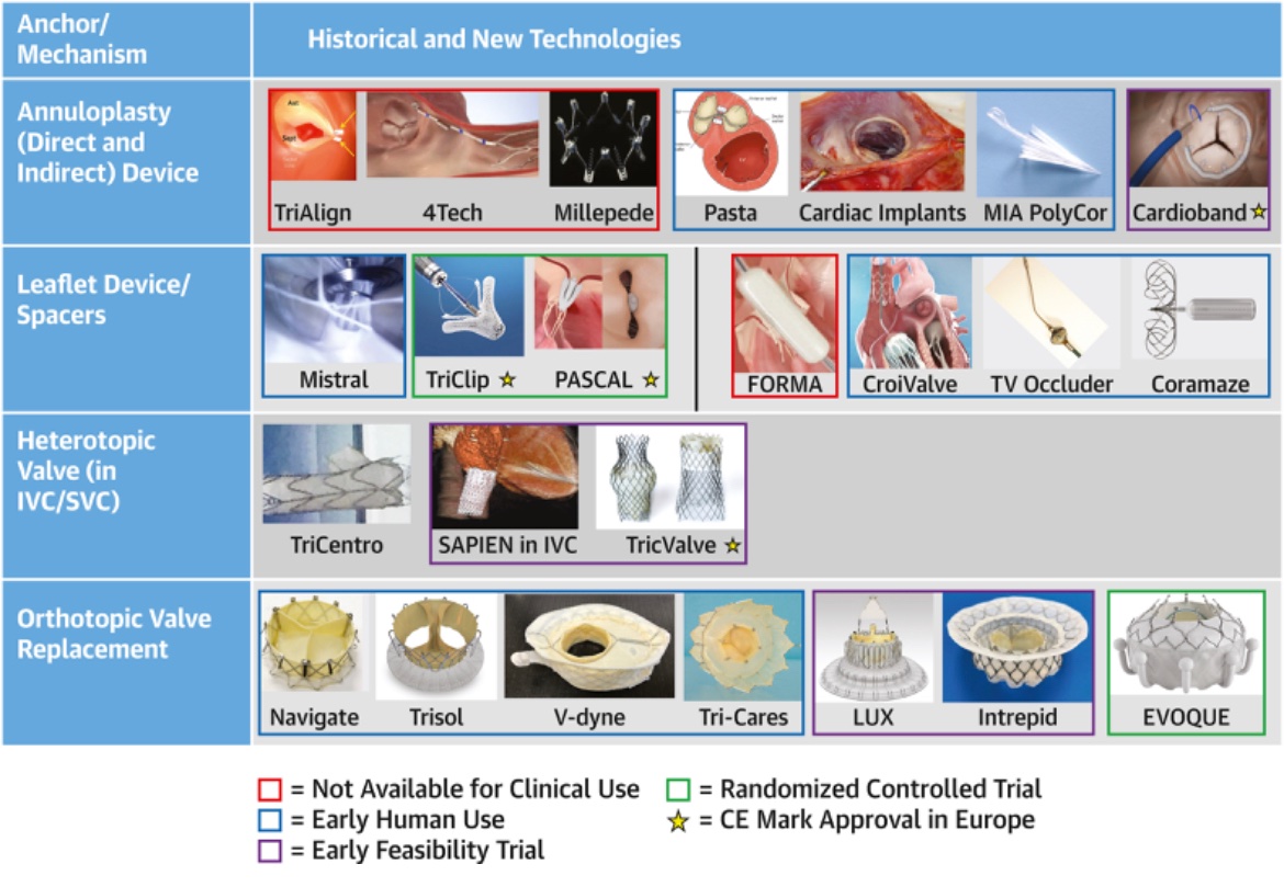 NishthaSodhi's tweet photo. ✴️ Honored to have served as Early Career Faculty for #TVARC 🫀#tricuspid 🙏
@hahn_rt @SuzanneJBaron @GilbertTangMD @djc795 @GAilawadiMD @bapat_savrtavr @MCoylewright @BGalperMD @igeorge1975 @MayraGuerreroMD @HamidNadira @SusheelKodaliMD @MartyBLeon @BadhwarVinay @OKhaliqueMD https://t.co/IchzomZCTD