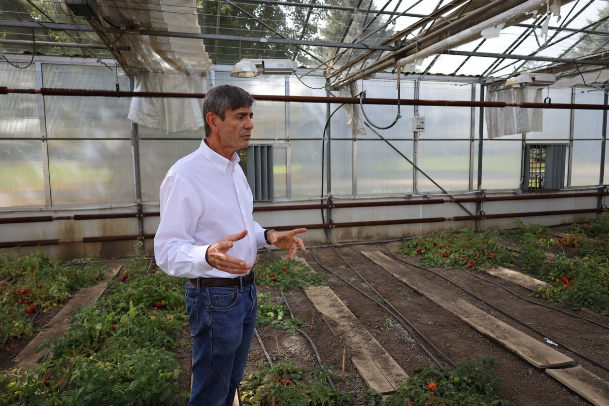 Streaming_Sci's tweet photo. We visited @RidgetownCampus to learn about 1) Dr. @LauraVanEerd's cover crop research to restore nitrogen to the soil &amp; reduce greenhouse gas emissions &amp; 2) Dr. Steve Loewen's tomato processing breeding to increase genetic diversity. @UofGuelphOAC @UFAEC  #scicomm #Sustainability https://t.co/Mlip3V0Ens