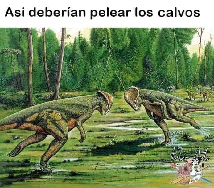 Renezzbro's tweet photo. Etiqueta a tu amigo calvo https://t.co/Gw1VR1S1hs