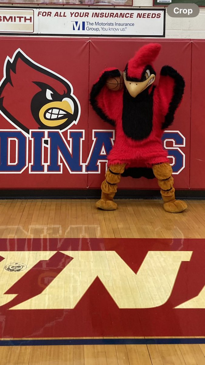 Scott County Lady Cards 🏀 tryouts will be Sunday, Oct. 15 from 2-4pm at SCHS gym. You will need a KHSAA physical on file or bring your physical with you.
🔴⚪️🔵🏀
#ItsGoTime