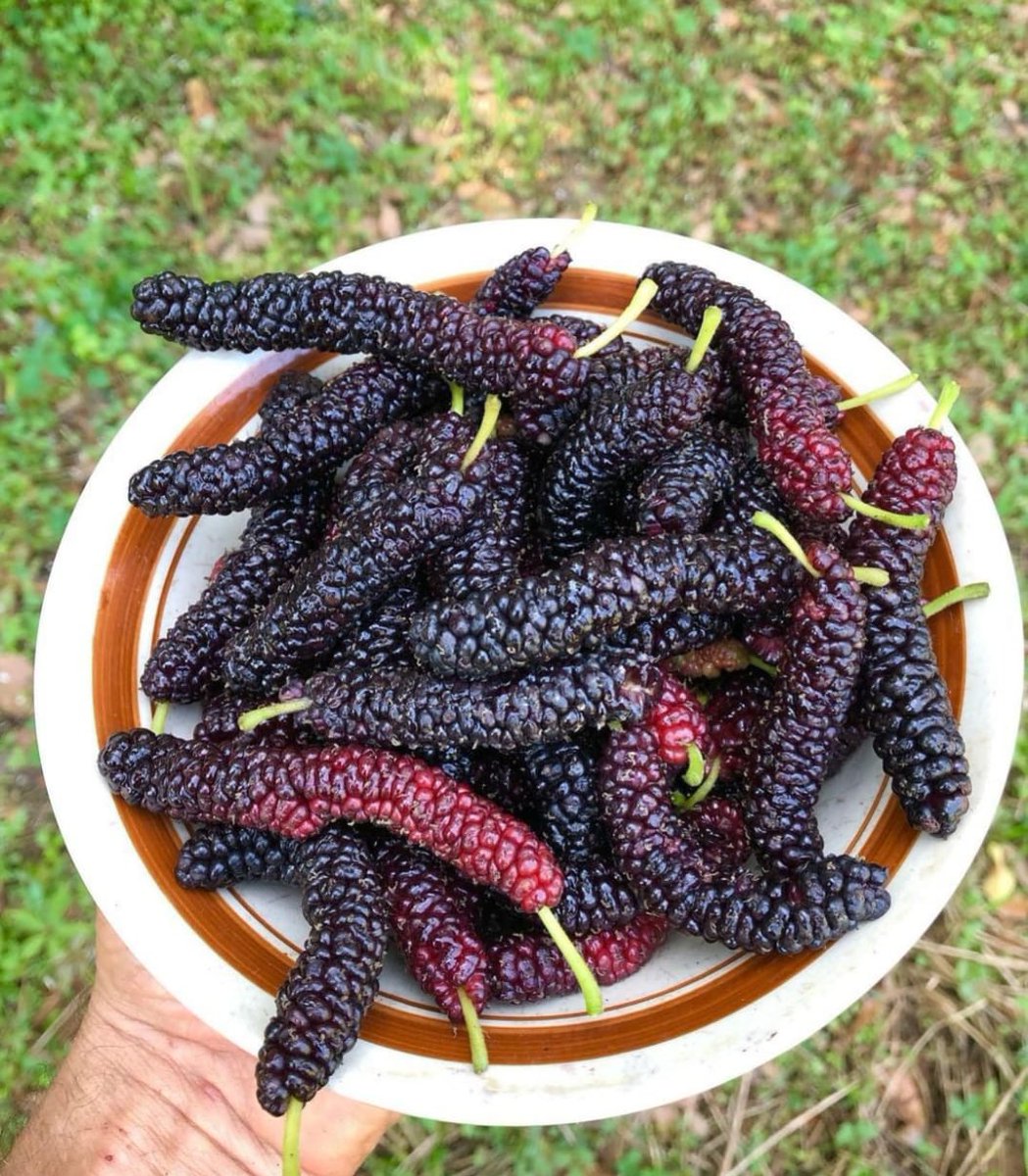 Jagriti Singh tweet media