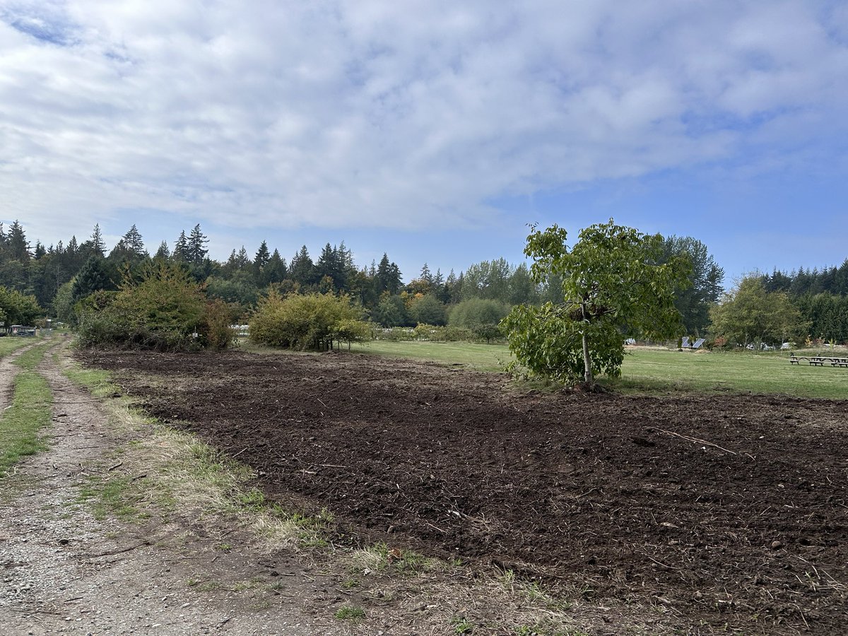 Land prep continues with the awesome support of <a href="/ubcfarm/">Centre for Sustainable Food Systems at UBC Farm</a> Converting a hedgerow to Garry Oak meadow/food system. Indigenous Ecology students have been hard at work &amp; planting is just a few weeks away! Bridging food systems promotes biodiversity &amp; farm resiliency! #nativesinstem