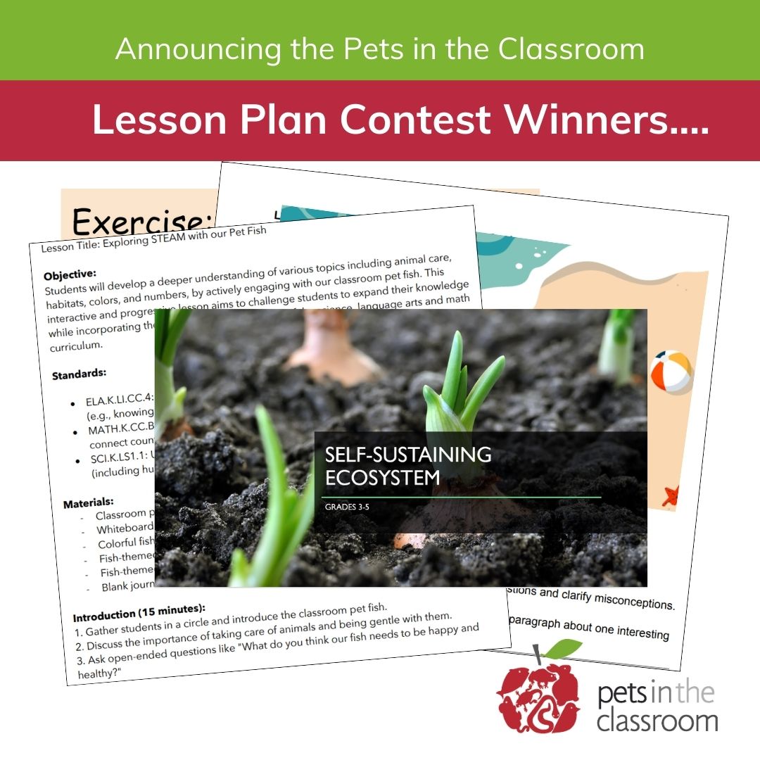 PetsinClassroom's tweet photo. It’s time to announce the winners of the Pets in the Classroom 7th annual Lesson Plan Contest! Thank you to all of the teachers who submitted entries!
 https://t.co/hJOu8RjYIi https://t.co/gAzw6TWfVw