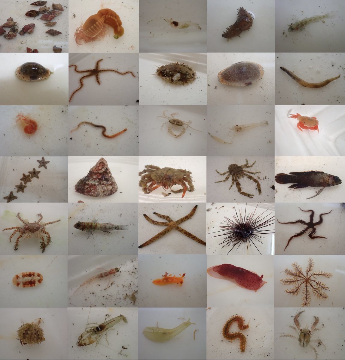 armsrestore tweet media