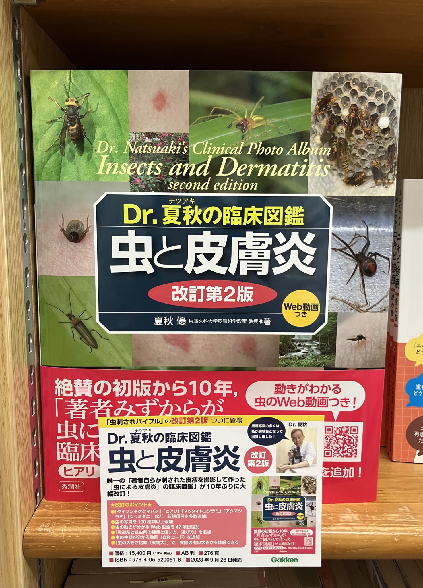 Dr.夏秋の臨床図鑑 虫と皮膚炎